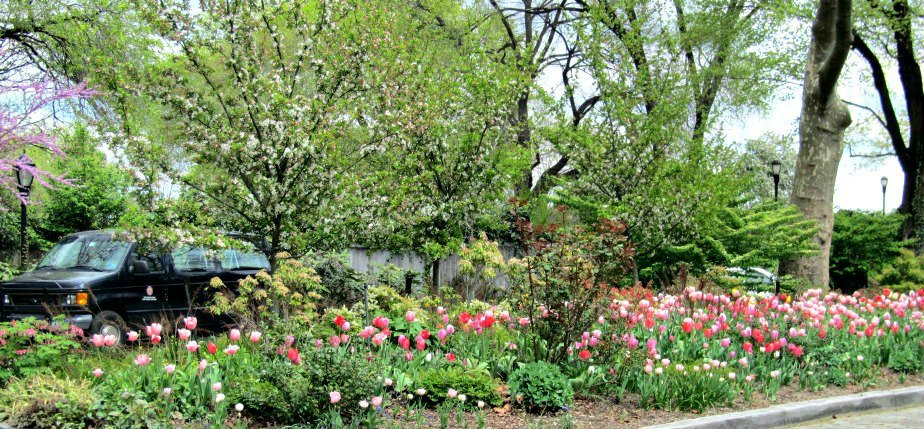 Gracie Mansion Tulip Garden