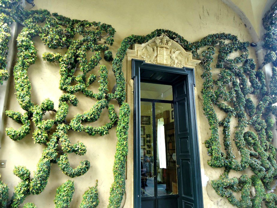 Snake Inspired Plants on the Wall at Villa del Balbianello Lake Como Italy