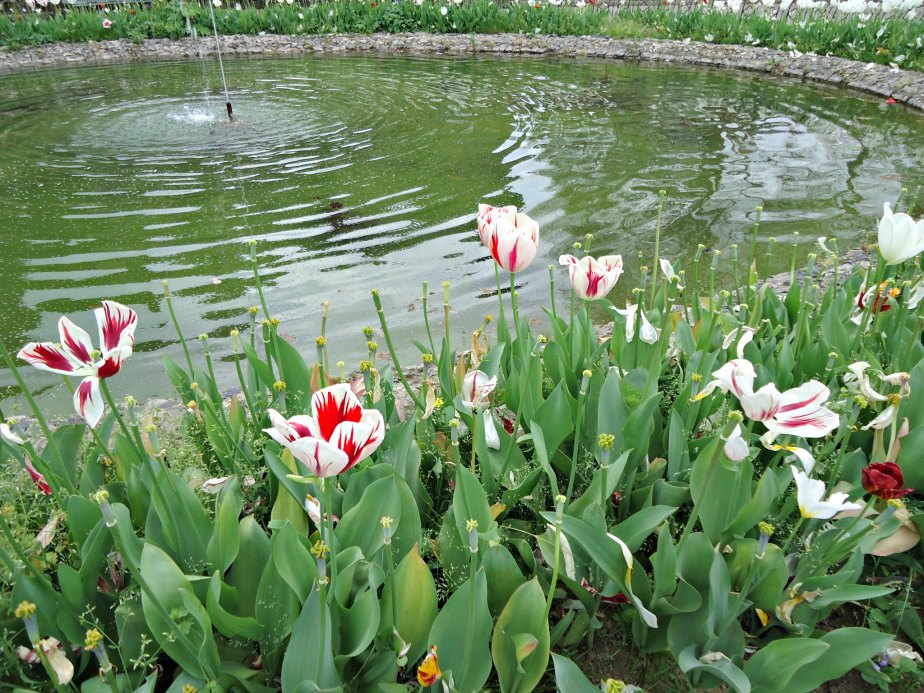 Pond at Piazzale Michelangelo