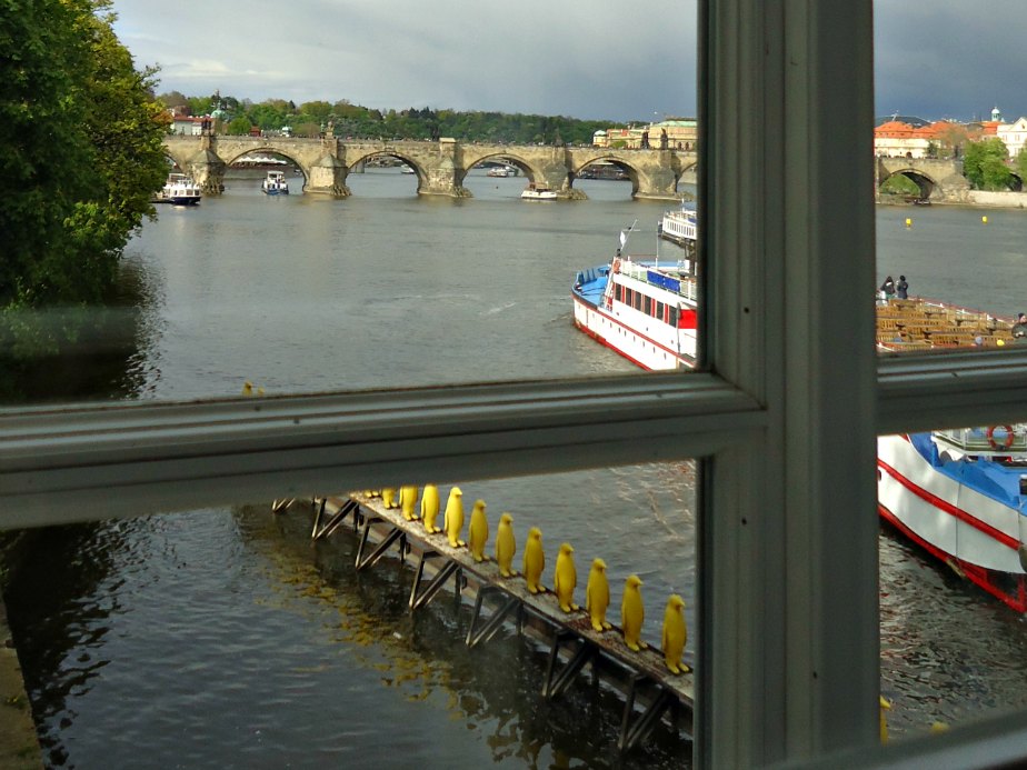 Looking out from Kampa Museum Prague