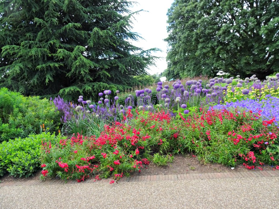 Flower Bed at Kew Gardens