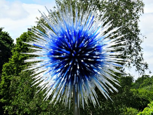 Kew Gardens Sapphire Sun