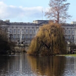 Buckingham Palace from St James's Park
