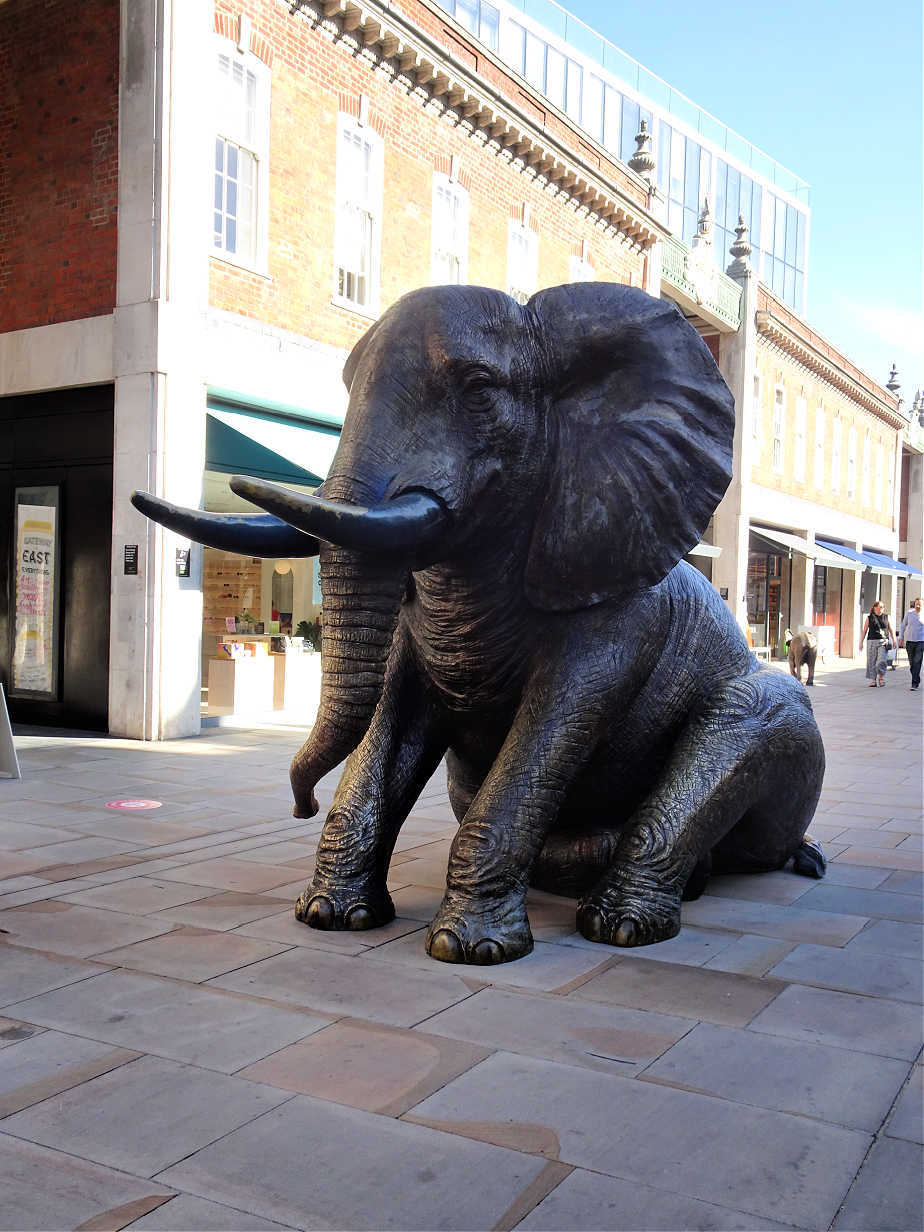 Spitalfield Elephant 3