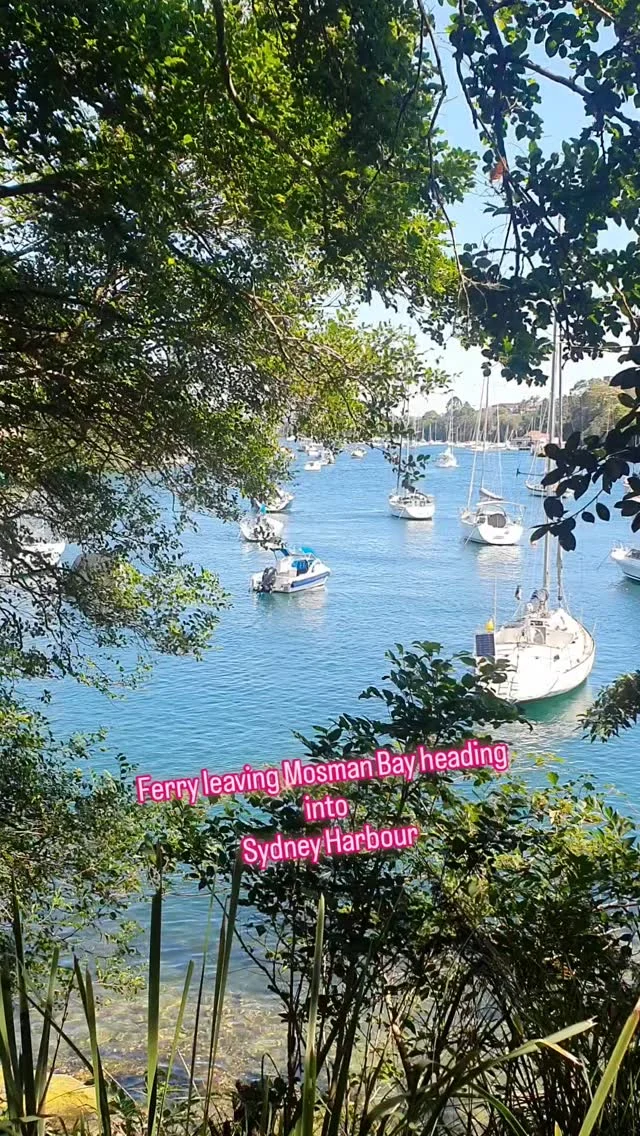 As the ferry leaves Mosman Bay as seen from the Cremorne Point walk, Sydney Harbour was sparkling all weekend🌞🌞🌞🌞🌞..#mosmanbay #cremornepoint #northshore #sydneyweekend #sydneylife #sydneyaustralia #sydneyharbourwalks #sydneystyle #seeeverythingdoeverything #traveltheworldworldwithme #outonthewater #boatsboatsboats #sydneyferries #myhometown #sydneylocal