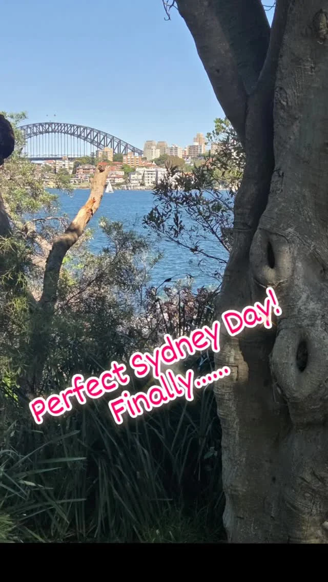 Beautiful weather to walk around Cremorne Point....finally.....for weeks it has been too hot, too humid, too stormy, too windy, too just generally unpleasant - then today...Perfect, just right 🌞🌞😍!..#sydneyharbour #sydneyharbourbridge #sydneyoperhouse #sydneyharbourwalks #perfectday #seetheworldthroughmyeyes #boats #outonthewater