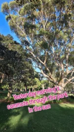 Yesterday was perfect, not too hot, no humidity, a lovely walk through St Leonard's Park to the Metro, then today, foggy, drizzly, bad hair.....yuk!!..#stleonardspark #morningcommute #walkinthepark #northsydney #sydneycbd #sydneyharbourbridge #seetheworldthroughmyeyes #changeintheweather