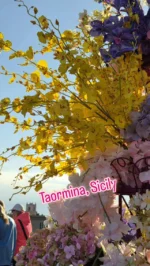 Taormina has to be one of the prettiest towns, there is a festival on that seems to involve a lot of flowers, and there are a few thousand more people here than I was hoping for, but we all seem to be getting along!!.#taormina #taorminasicily #visitsicily #flowers #italianhistory #solotravel #seetheworldthroughmyeyes #solotrip #traveltheworldwithme #neverstopexploring #seeeverythingdoeverything #madeinitaly